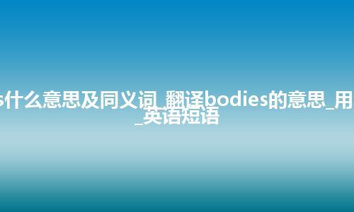 bodies什么意思及同义词_翻译bodies的意思_用法_例句_英语短语