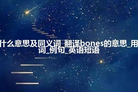 bones什么意思及同义词_翻译bones的意思_用法_同义词_例句_英语短语