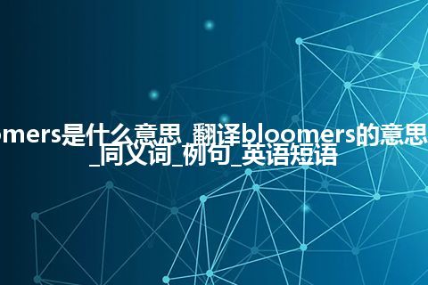 bloomers是什么意思_翻译bloomers的意思_用法_同义词_例句_英语短语