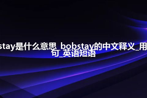 bobstay是什么意思_bobstay的中文释义_用法_例句_英语短语