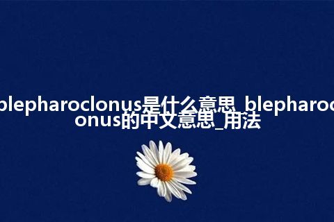 blepharoclonus是什么意思_blepharoclonus的中文意思_用法