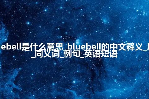 bluebell是什么意思_bluebell的中文释义_用法_同义词_例句_英语短语