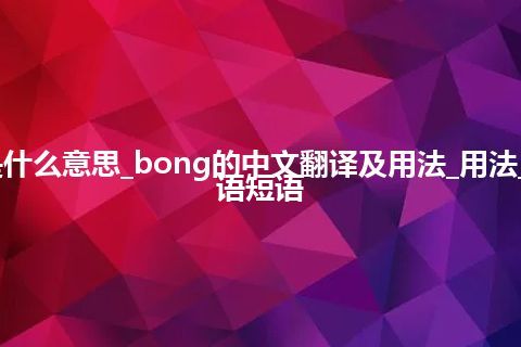 bong是什么意思_bong的中文翻译及用法_用法_例句_英语短语