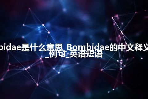 Bombidae是什么意思_Bombidae的中文释义_用法_例句_英语短语