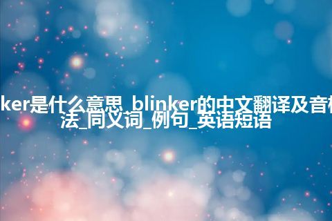 blinker是什么意思_blinker的中文翻译及音标_用法_同义词_例句_英语短语