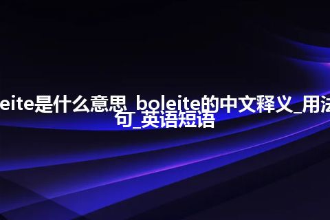 boleite是什么意思_boleite的中文释义_用法_例句_英语短语