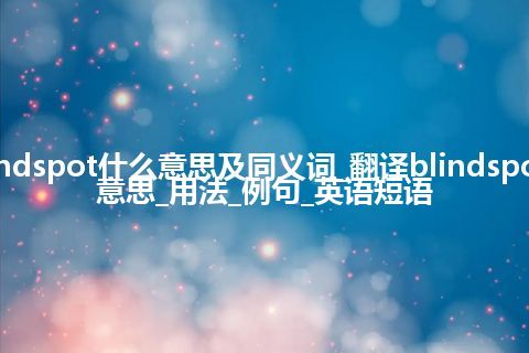 blindspot什么意思及同义词_翻译blindspot的意思_用法_例句_英语短语