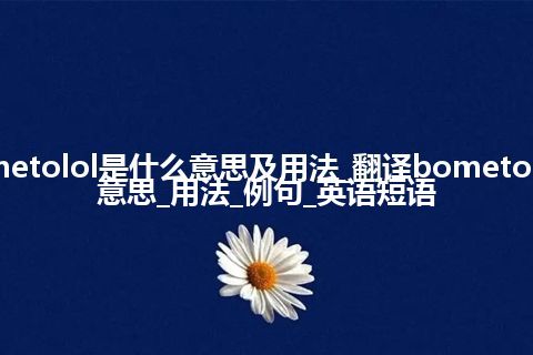 bometolol是什么意思及用法_翻译bometolol的意思_用法_例句_英语短语