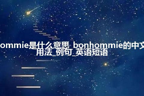 bonhommie是什么意思_bonhommie的中文意思_用法_例句_英语短语