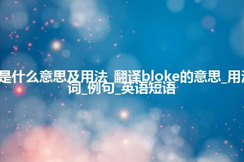 bloke是什么意思及用法_翻译bloke的意思_用法_同义词_例句_英语短语