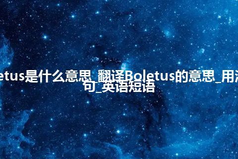 Boletus是什么意思_翻译Boletus的意思_用法_例句_英语短语