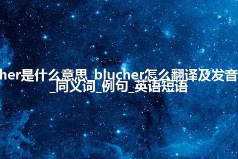 blucher是什么意思_blucher怎么翻译及发音_用法_同义词_例句_英语短语