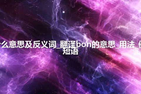 bon是什么意思及反义词_翻译bon的意思_用法_例句_英语短语