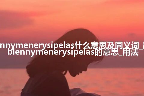 blennymenerysipelas什么意思及同义词_翻译blennymenerysipelas的意思_用法