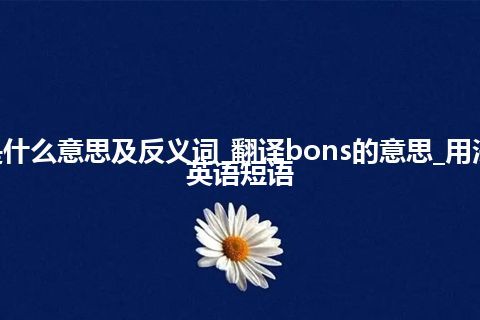 bons是什么意思及反义词_翻译bons的意思_用法_例句_英语短语