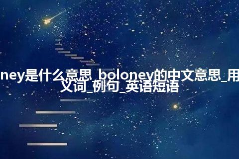 boloney是什么意思_boloney的中文意思_用法_同义词_例句_英语短语