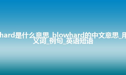 blowhard是什么意思_blowhard的中文意思_用法_同义词_例句_英语短语