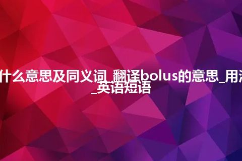 bolus什么意思及同义词_翻译bolus的意思_用法_例句_英语短语