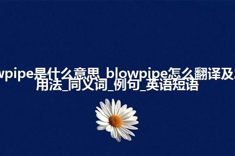 blowpipe是什么意思_blowpipe怎么翻译及发音_用法_同义词_例句_英语短语