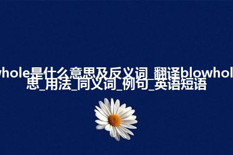 blowhole是什么意思及反义词_翻译blowhole的意思_用法_同义词_例句_英语短语