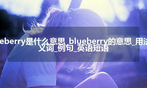 blueberry是什么意思_blueberry的意思_用法_同义词_例句_英语短语