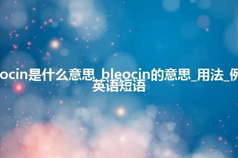 bleocin是什么意思_bleocin的意思_用法_例句_英语短语