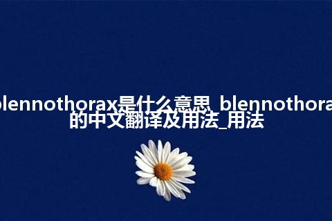 blennothorax是什么意思_blennothorax的中文翻译及用法_用法