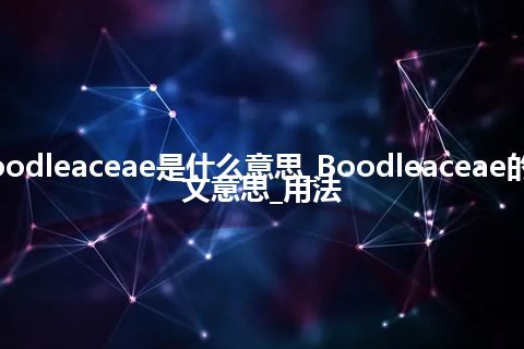 Boodleaceae是什么意思_Boodleaceae的中文意思_用法