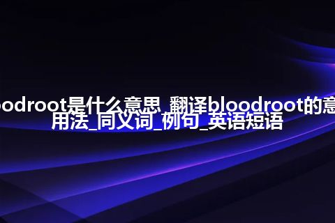 bloodroot是什么意思_翻译bloodroot的意思_用法_同义词_例句_英语短语