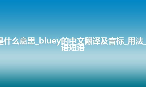 bluey是什么意思_bluey的中文翻译及音标_用法_例句_英语短语