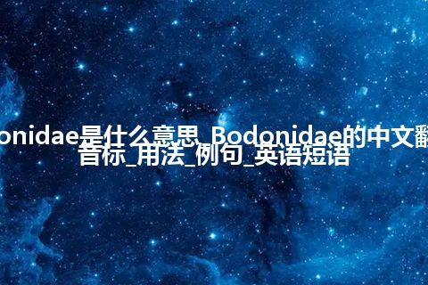 Bodonidae是什么意思_Bodonidae的中文翻译及音标_用法_例句_英语短语