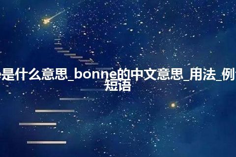 bonne是什么意思_bonne的中文意思_用法_例句_英语短语