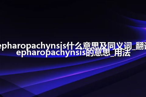 blepharopachynsis什么意思及同义词_翻译blepharopachynsis的意思_用法