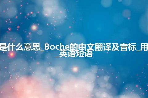 Boche是什么意思_Boche的中文翻译及音标_用法_例句_英语短语