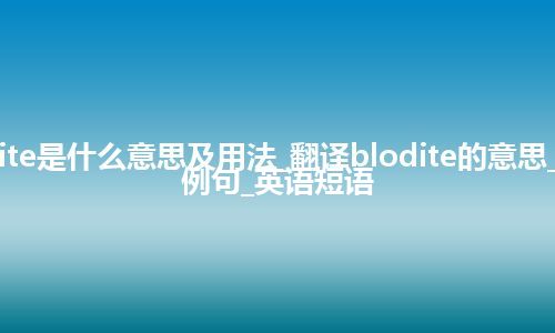 blodite是什么意思及用法_翻译blodite的意思_用法_例句_英语短语