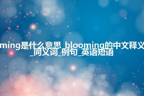 blooming是什么意思_blooming的中文释义_用法_同义词_例句_英语短语