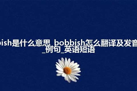 bobbish是什么意思_bobbish怎么翻译及发音_用法_例句_英语短语