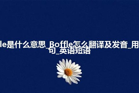 Boffle是什么意思_Boffle怎么翻译及发音_用法_例句_英语短语