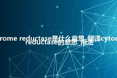 cytochrome reductase是什么意思_翻译cytochrome reductase的意思_用法