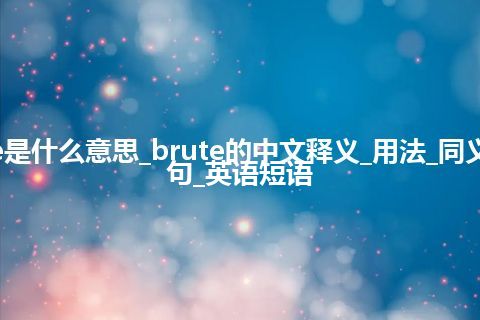 brute是什么意思_brute的中文释义_用法_同义词_例句_英语短语