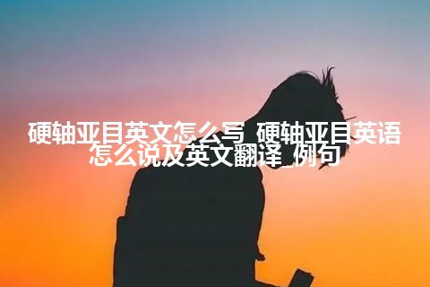 硬轴亚目英文怎么写_硬轴亚目英语怎么说及英文翻译_例句