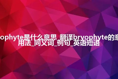 bryophyte是什么意思_翻译bryophyte的意思_用法_同义词_例句_英语短语