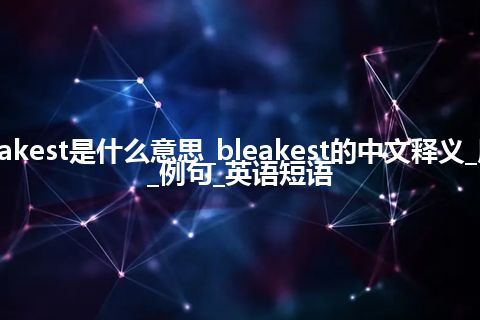 bleakest是什么意思_bleakest的中文释义_用法_例句_英语短语