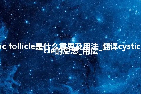 cystic follicle是什么意思及用法_翻译cystic follicle的意思_用法