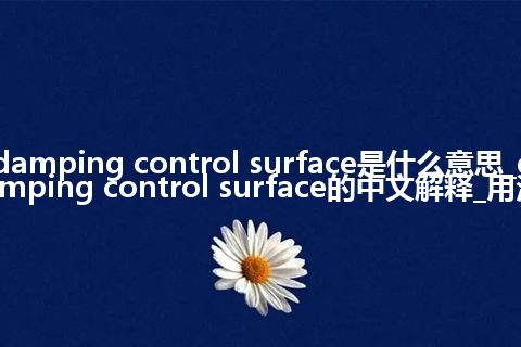 damping control surface是什么意思_damping control surface的中文解释_用法