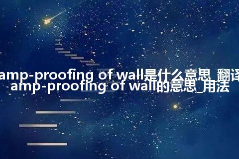 damp-proofing of wall是什么意思_翻译damp-proofing of wall的意思_用法