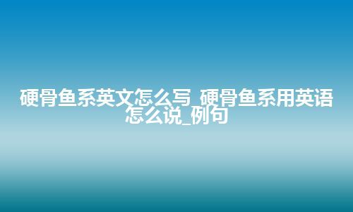 硬骨鱼系英文怎么写_硬骨鱼系用英语怎么说_例句