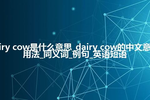 dairy cow是什么意思_dairy cow的中文意思_用法_同义词_例句_英语短语