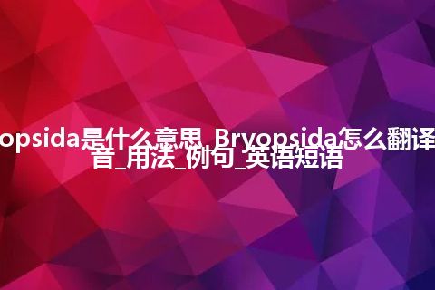 Bryopsida是什么意思_Bryopsida怎么翻译及发音_用法_例句_英语短语