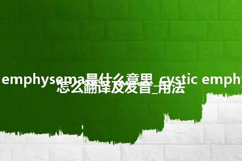 cystic emphysema是什么意思_cystic emphysema怎么翻译及发音_用法